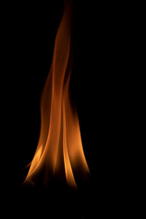 Fire flames on black background.の写真素材