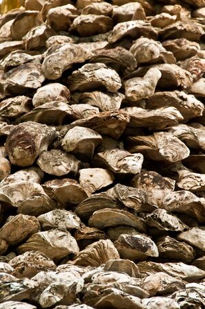 old giant oyster were used to build a Thai pagodaの写真素材