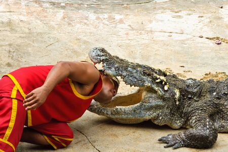 SAMUTPRAKARN, THAILAND - JUNE 11: A man was putting his head in a crocodile's mouth in a crocodile show at Samutprakarn crocodile farm & zoo June 11, 2010 in Samutprakarn, Thailand.のeditorial素材