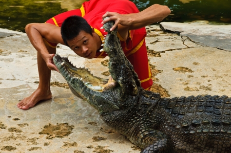 SAMUTPRAKARN, THAILAND - JUNE 11: A man was putting his head in a crocodile's mouth in a crocodile show at Samutprakarn crocodile farm & zoo June 11, 2010 in Samutprakarn, Thailand.のeditorial素材