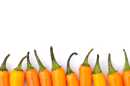 Orange peppers isolated over white with copy spaceの写真素材