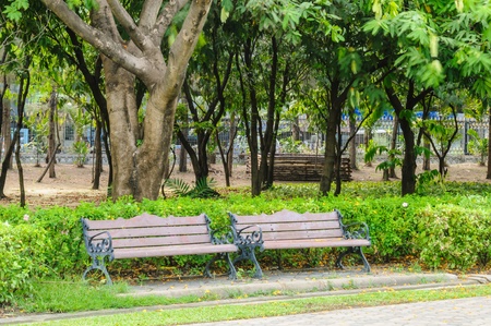 Benches in the park in the summer.の写真素材