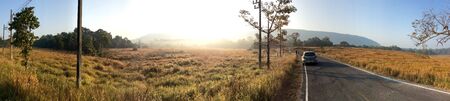 Panoramic view of a road trip in Khao Yai national park, Thailandの素材