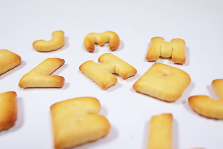 Biscuitの写真素材
