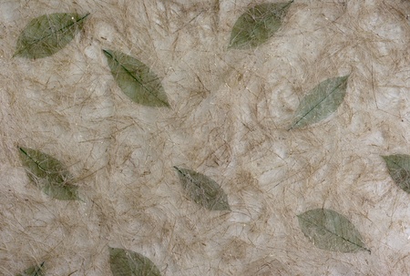 Brown mulberry paper and brown pulp with expand green leafs background.の写真素材