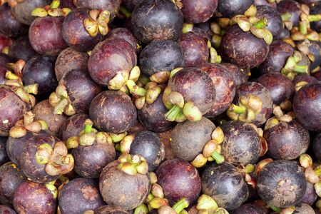 Fresh mangosteens fruit background, Thai fruit in Thailand の写真素材