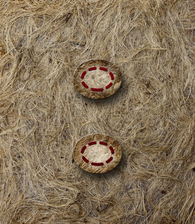 Mulberry Paper Alphabet (Colon) on brown paper background.の写真素材