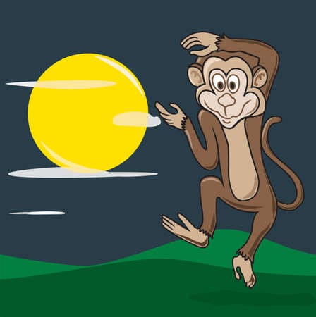 Monkey Jumping at the night  time.の写真素材