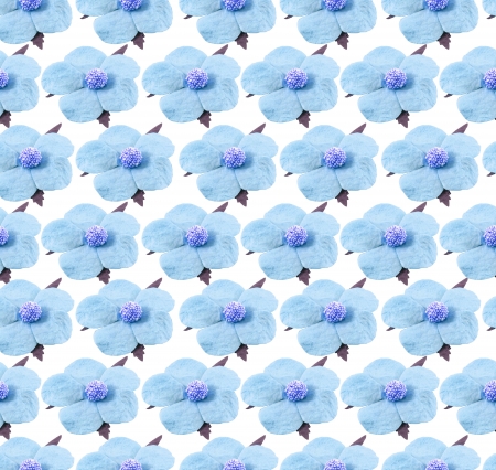 Blue Mulberry paper Flower hand made background.の写真素材