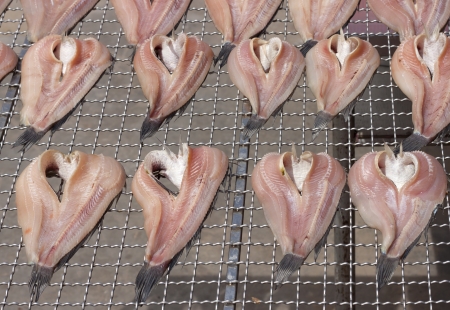 Dried fish on the stainless grid in the sunny day.の写真素材