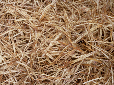 Taro chips  Background.の写真素材