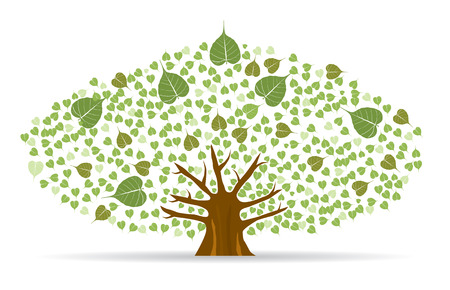 Set of Bodhi (Sacred Fig) tree Vector Illustration.のイラスト素材
