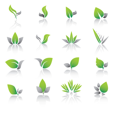 Set of green leaf icons and graphics.のイラスト素材