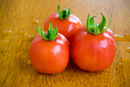 closeup fresh tomato with droplet, Choose from the garden.の写真素材