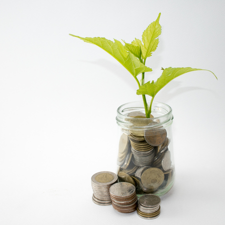 Plant Growing In Savings Coins, saving money concept.の写真素材