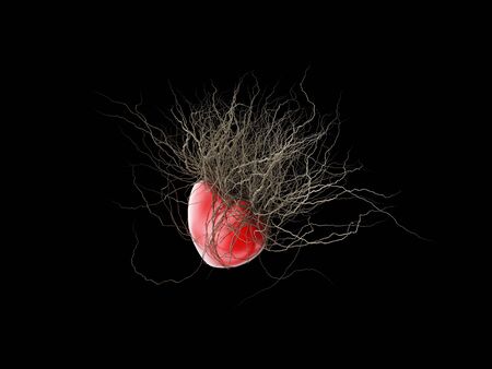 Brown's roots grew out of a red heart, in a black background.の写真素材