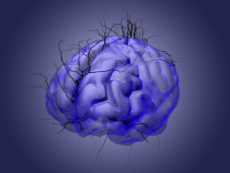 Brain root concept of a root growing in the shape of a human brain, conceptの写真素材