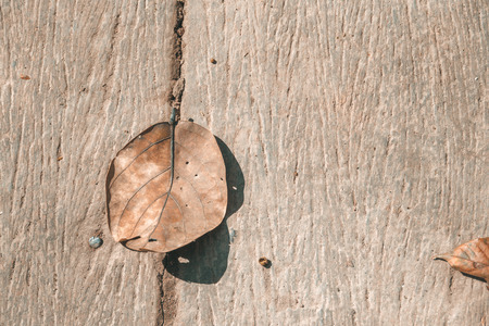 Background texture with old wooden table and yellow autumnal leaves, nature background