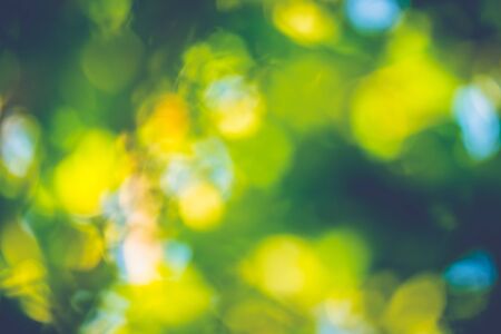abstract natural blur background, defocused leaves, bokeh, nature backgroundの写真素材