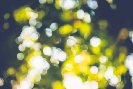 abstract natural blur background, defocused leaves, bokeh, nature backgroundの写真素材