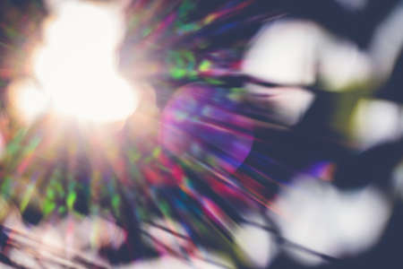 abstract natural blur background, defocused leaves, bokeh, nature backgroundの写真素材