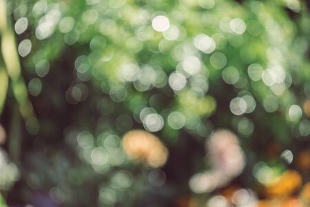 abstract natural blur background, defocused leaves, bokeh, nature backgroundの写真素材