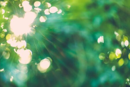 abstract natural blur background, defocused leaves, bokeh, nature backgroundの写真素材
