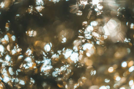 abstract natural blur background, defocused leaves, bokeh, nature backgroundの写真素材