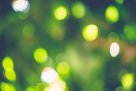 abstract natural blur background, defocused leaves, bokeh, nature backgroundの写真素材