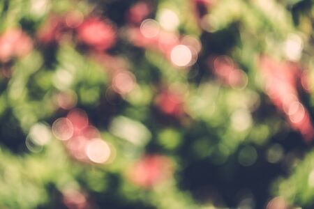 abstract natural blur background, defocused leaves, bokeh, nature backgroundの写真素材