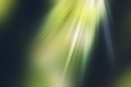 abstract natural blur background, defocused leaves, bokeh, nature backgroundの写真素材