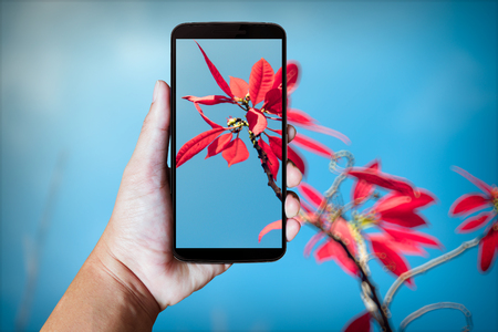 Modern mobile phone in the hand,on blur background imageの写真素材