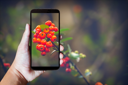 Modern mobile phone in the hand,on blur background imageの写真素材