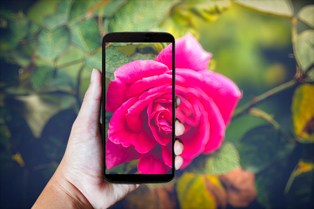 Modern mobile phone in the hand,on blur background imageの写真素材