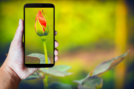 Modern mobile phone in the hand,on blur background imageの写真素材