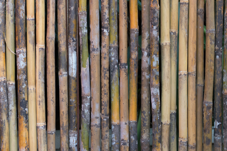 wood texture with natural pattern, Wood Texture Backgroundの写真素材