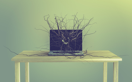 Social media icons set on the root growing out of laptop, conceptの写真素材