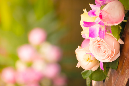 beautiful background with flowers roses, valentine background, flowers backgroundの写真素材