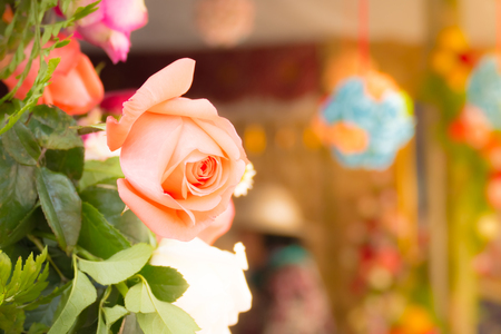 beautiful background with flowers roses, valentine background, flowers backgroundの写真素材