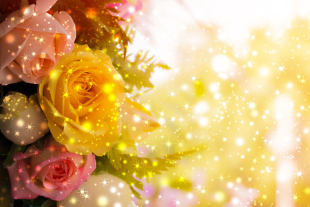 beautiful background with flowers roses, valentine background, flowers backgroundの写真素材