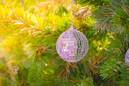 christmas decoration On the pines, christmas objectの写真素材