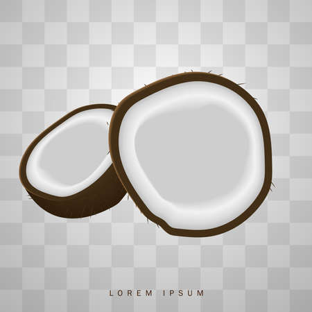 3D realistic isolated vector set of whole coconutのイラスト素材