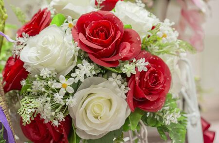 Sweet color and soft focus backgroundの写真素材