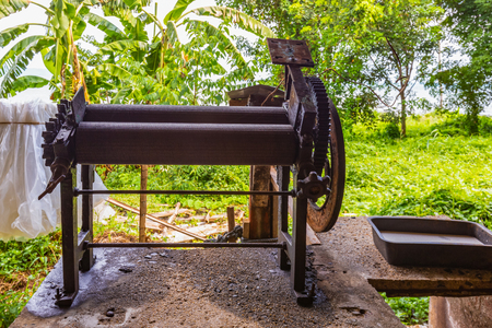 Small rubber industry on Koh Mak  Is one of the people's occupations on this islandの写真素材