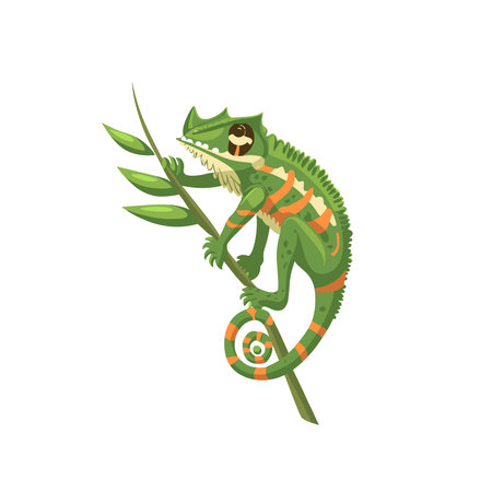 Cartoon green chameleon on a branch vector Illustration isolated on a white background.のイラスト素材