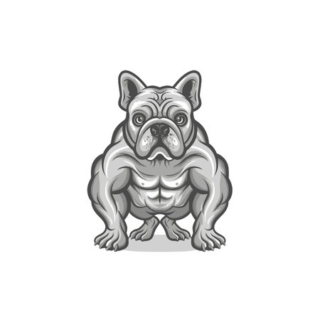 French bulldog vector illustration. Isolated on a white background.のイラスト素材