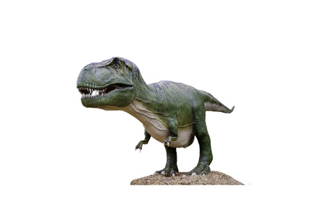 Isolated Dinosaur T-Rex on white background, Tyrannosaurus Rex Dinosaurs, King of the Dinosaursの写真素材