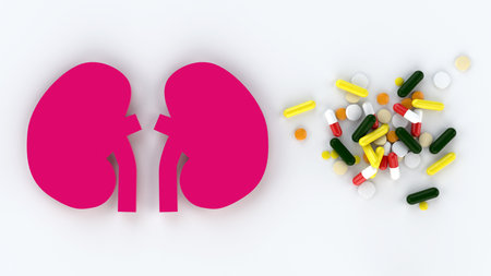 Assorted medical pills and human lungs with white background in conceptual format. Showing the lungs...