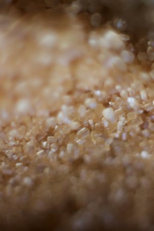 Brown sugar close-up macro photography. Selective focus. Shallow depth of fieldの写真素材
