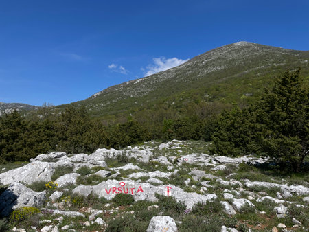 Mountain landscape in the National Park, Montenegro.の写真素材